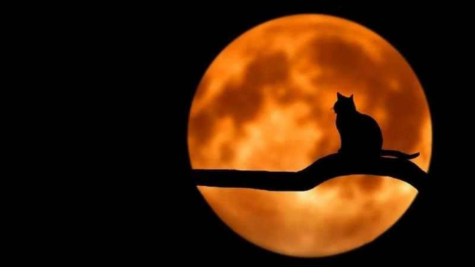 Friday the 13th.