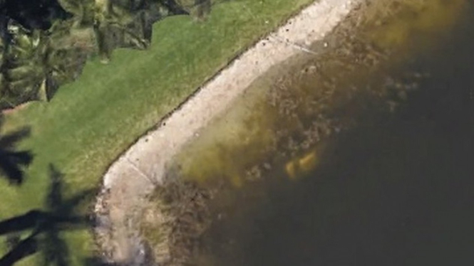 - Google Maps