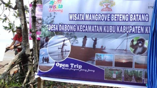 Hutan Mangrove Desa Dabong