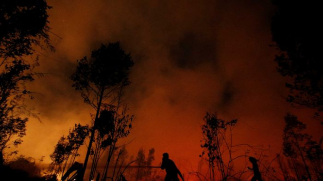 Taman Nasional Sebangau di Palangkaraya, Kalimantan Tengah, adalah salah satu pusat kebakaran.