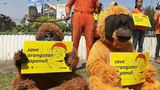 Aksi demo #saveorangutantapanuli 