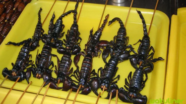 Kulineran Menu "Serangga"