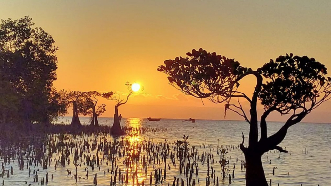 Ilustrasi sunset di Pantai Walakiri, Sumba Timur