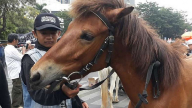 Peserta Aksi Mujahid 212 membawa kuda