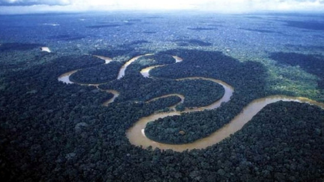 Sungai Amazon