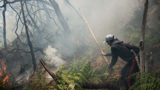 KEBAKARAN HUTAN KAWASAN KAWAH PUTIH