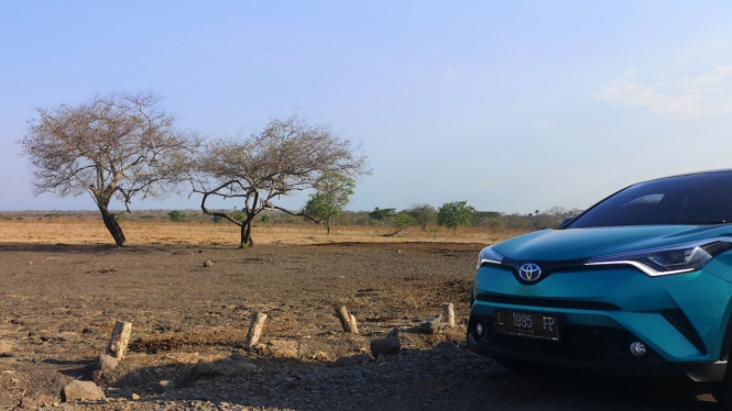 Test drive Toyota C-HR Hybrid di Taman Nasional Baluran Jawa Timur