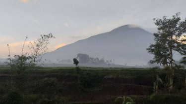 Jalur pendakian menuju Gunung Cikuray terbakar, MInggu 13 Oktober 2019.