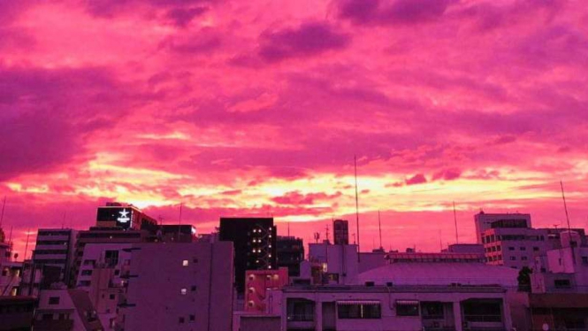 Langit Jepang berubah jadi magenta jelang Topan Hagibis.