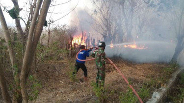  Kawasan Gunung Tambora terbakar