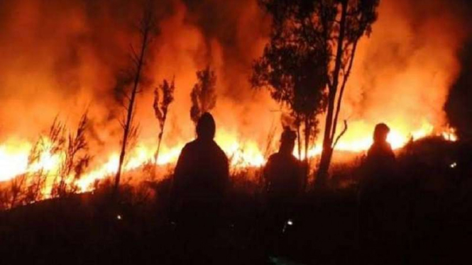 Kebakaran di kawasan Gunung Rinjani.