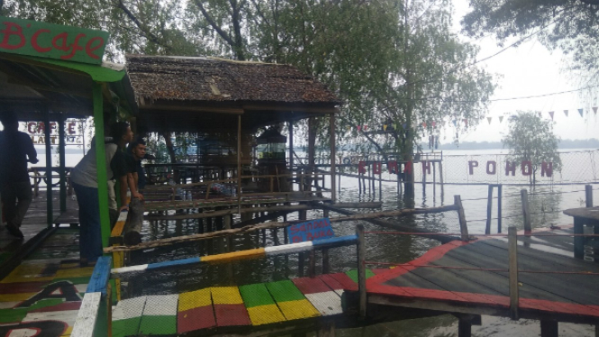 Wisata rumah pohon Kampung Laut Jambi