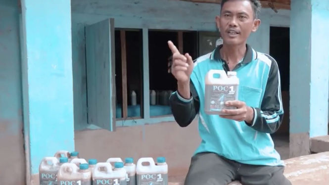 Urine Kambing yang sudah jadi POC.