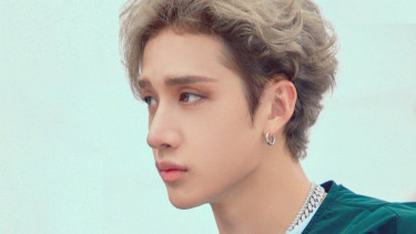 Chan Stray Kids.