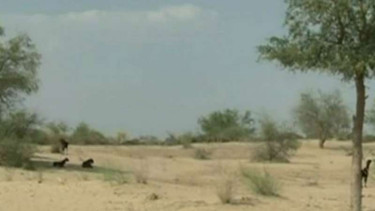 Thar, wilayah paling miskin di Pakistan