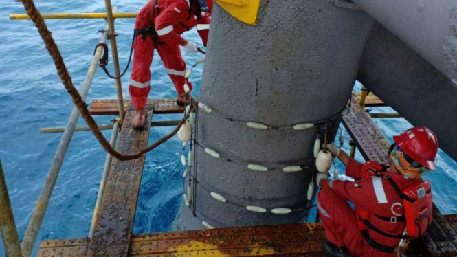 Petugas sedang memasang Sea-Waroc untuk mencegah tumbuhnya marine growth.