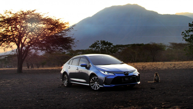 All New Toyota Corolla Altis