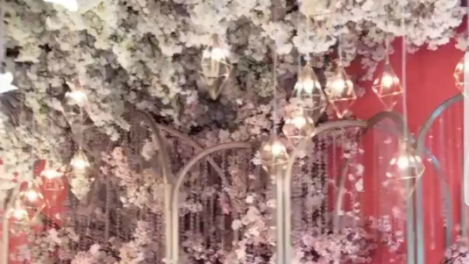 Romantic Blossom
