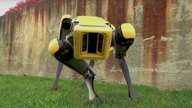 Spot, robot anjing buatan Boston Dynamics