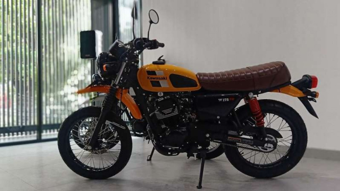 Motor Kawasaki W175TR