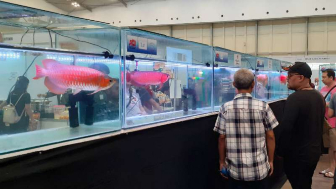 Pameran Nusatic.