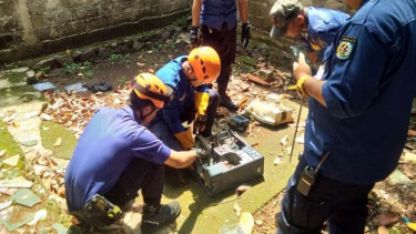 Petugas menangkap ular kobra di perangkat komputer, Senin, 9 Desember 2019.