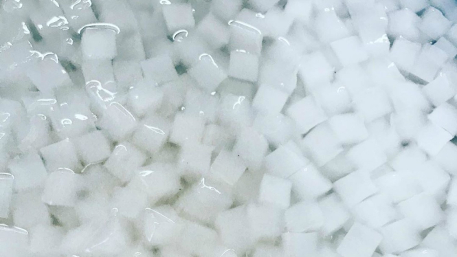 Nata de coco