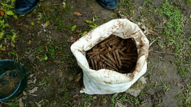 Ratusan peluru. (Foto ilustrasi).