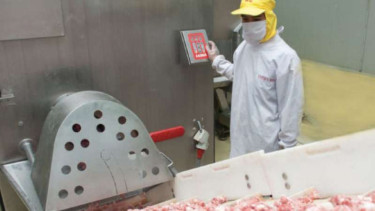 Kegiatan produksi Kibif.