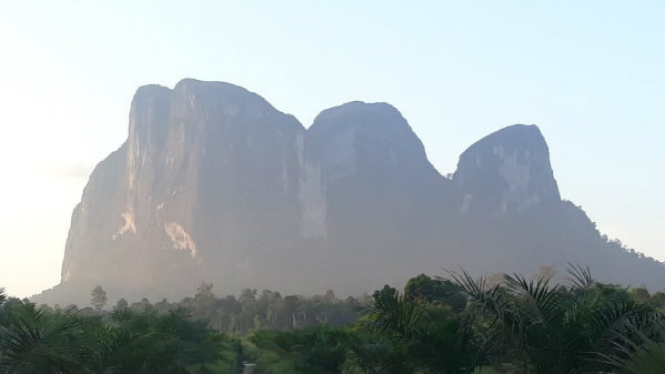 Bukit Batu Daya Kalimantan Barat