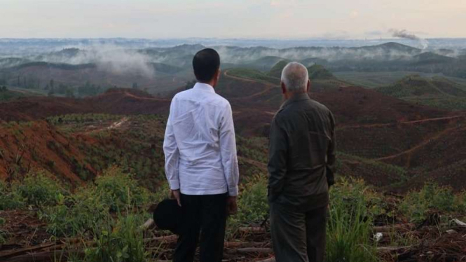 Presiden Joko Widodo meninjau lokasi Ibu Kota RI di Penajam Paser Utara 