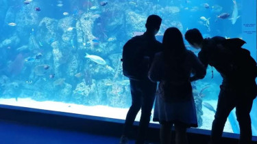 Jakarta Aquarium