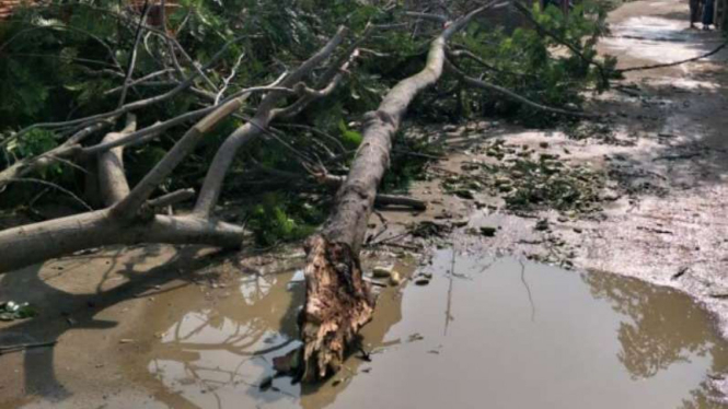 Hujan angin terjang Tangerang, Minggu, 22 Desember 2019.