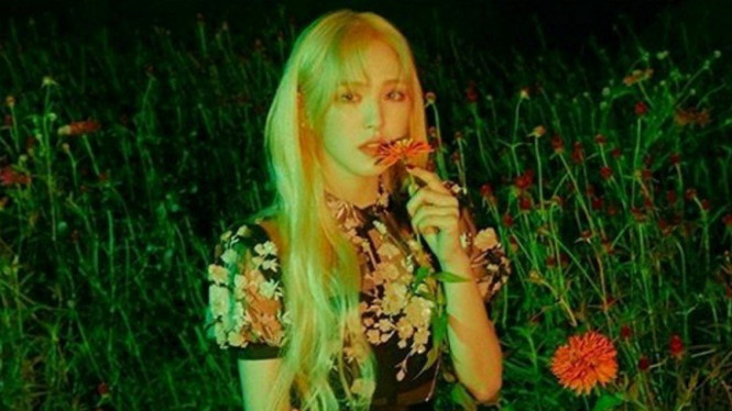 Wendy Red Velvet.