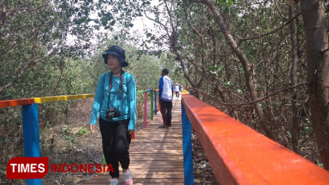 Wisata Mangrove Muara Bengawan Solo. (Foto: Dok. TIMES Indonesia)