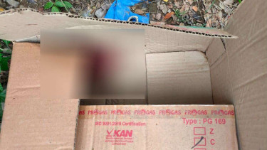 Penemuan bayi di dalam kardus di Bekasi