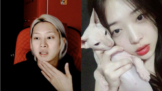 Heechul Super Junior adopsi kucing peliharaan mendiang Sulli.