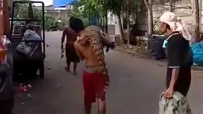 Warga Jakarta temukan Buaya pascabanjir.