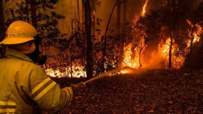 Kebakaran hutan di Australia