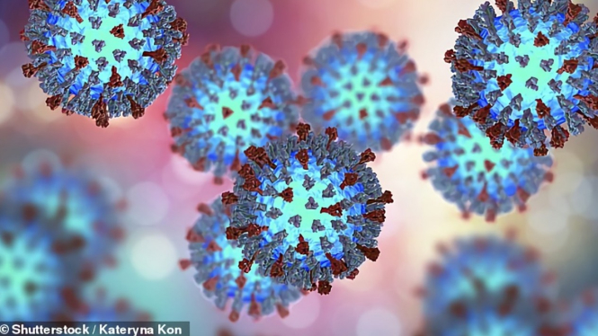 Ilustrasi virus campak – Shutterstock @kateryna kon