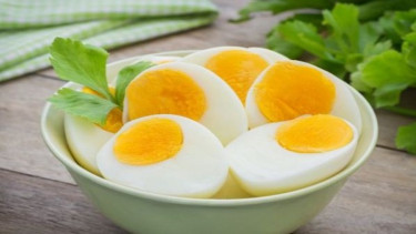 Ilustrasi Telur
