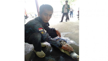 Warga di Kranji menemukan seekor buaya di selokan.