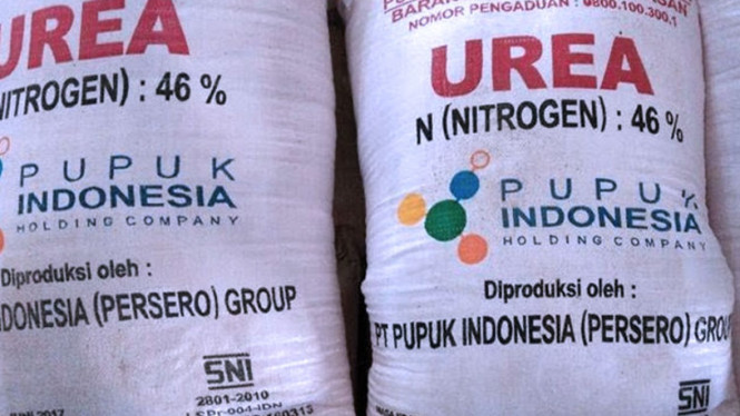 Pupuk bersubsidi. (FOTO: Ilustrasi)
