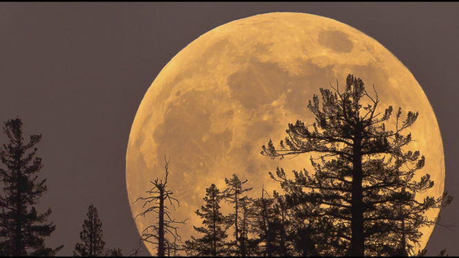 Supermoon Rising.