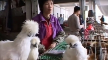 Pasar Hewan di Wuhan