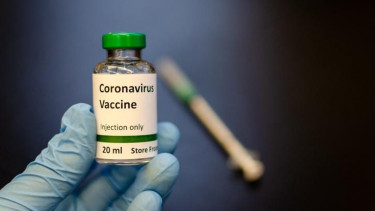 Virus Corona.
