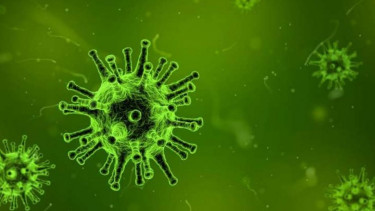 ilustrasi virus corona