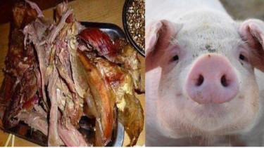 Makanan dan minuman haram