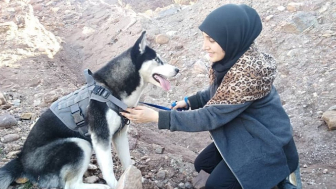 Sahba Barakzai menyayangi hewan peliharaannya, seekor anjing husky Siberian berumur tujuh bulan yang diberi nama Aseman. - Sahba Barakzai