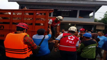 Siswa SMP 1 Turi Sleman Yogyakarta yanghanyut dievakuasi oleh Tim SAR
